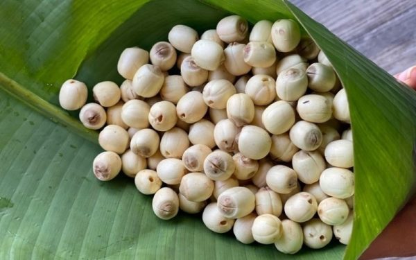 Hạt sen - Ảnh 3