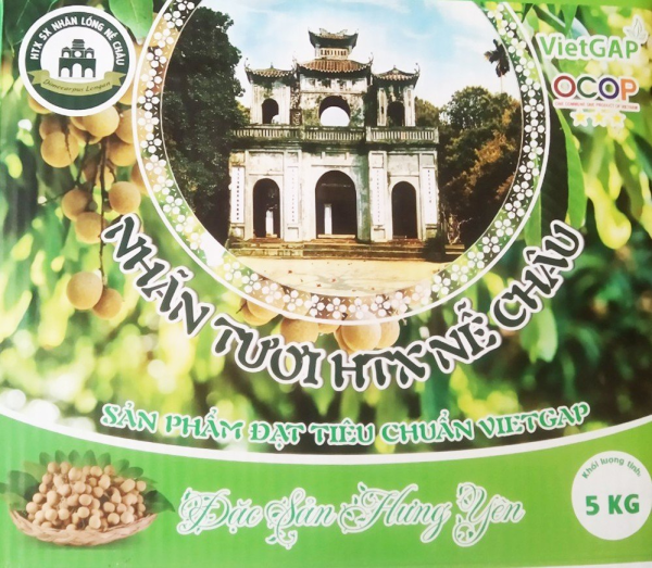 Quả nhãn tươi - Ảnh 4